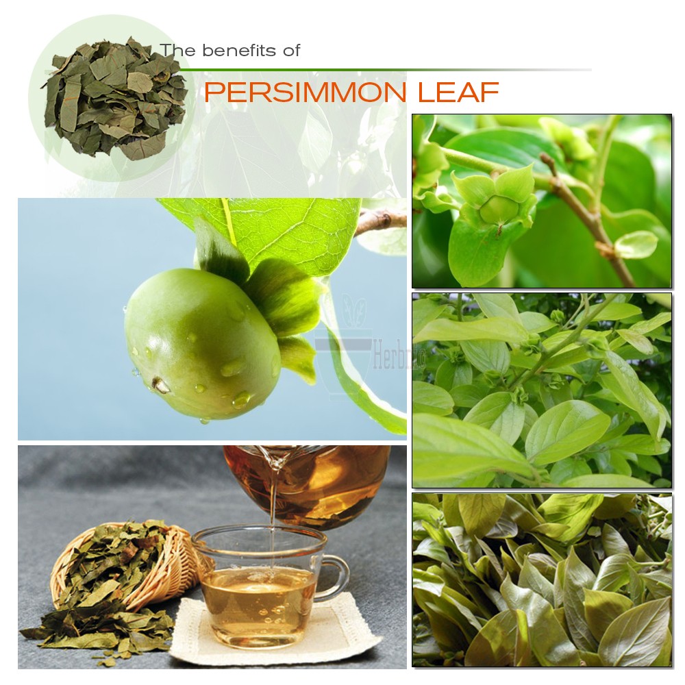 Shop [Pyramid Teabags] Persimmon Leaf Tea 100 from nature