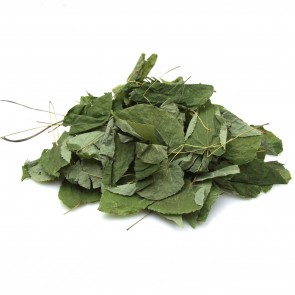 Barrenwort (Horny Goat Weed/Epipmedium) Loose Leaf 
