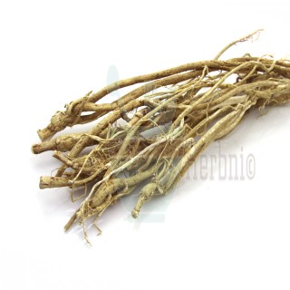 Astragalus Root (Milkvetch) 