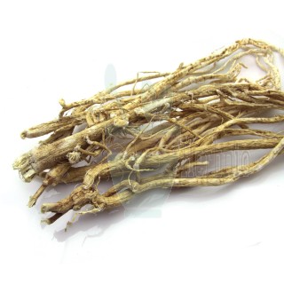 6 yrs Astragalus Root (Milkvetch) 