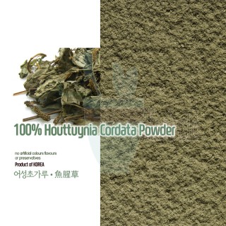 100% Natural Houttuynia Cordata Powder