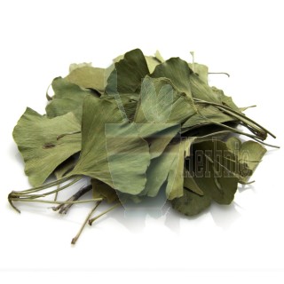 Ginko Biloba Leaf
