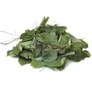 Barrenwort (Horny Goat Weed/Epipmedium) Loose Leaf 