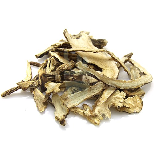 Shop Angelica root (Angelicae Gigantis Radix) 100% from nature |