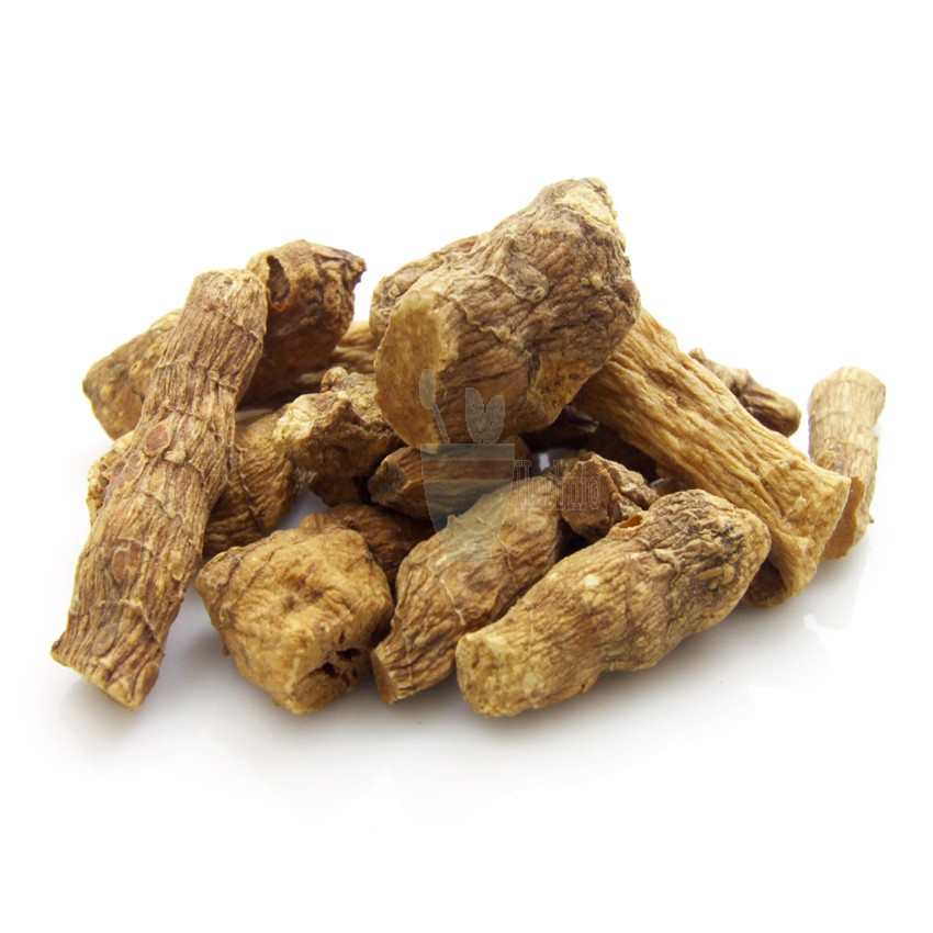 Shop Solomon’s Seal Roots (Polygonatum Biflorum) 100 from nature