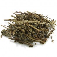 Agrimony