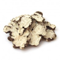 Cnidium Officinale Makino 150g