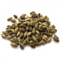 Cocklebur (Xanthium strumarium)