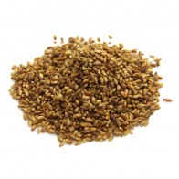Biota Seeds (Arborvitae) 