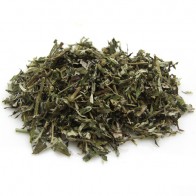 Wormwood (Artemisia absinthium) 