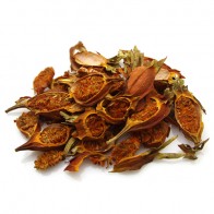 Gardenia Jasminoides Fruit