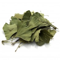 Ginko Biloba Leaf