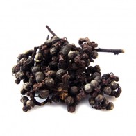 Hovenia dulcis (Raisin Tree) Fruit 