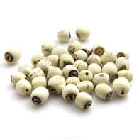 Lotus Seeds