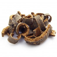 Machilus Thunbergii Bark