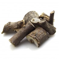 Sumac Tree (Rhus Javanica L)