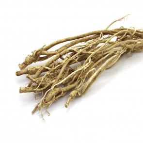 Astragalus Root (Milkvetch) 