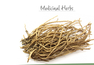Shop Medicinal Herbs