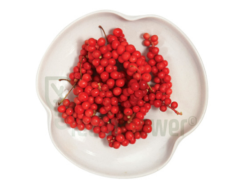 Schizandra Berry